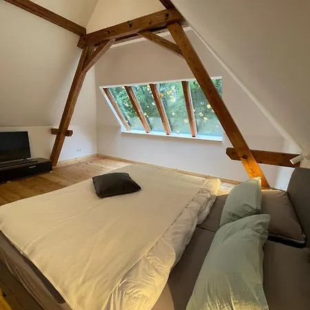 Appartement Schwarzwald Loft Im Gruenen Freudenstadt