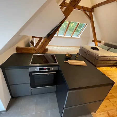 Schwarzwald Loft Im Gruenen Appartement *