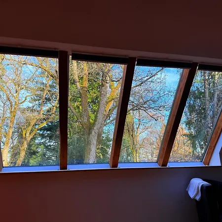 Schwarzwald Loft Im Gruenen *